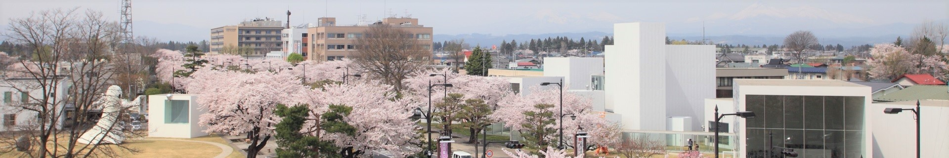 十和田市役所の情報 官公庁・自治体で働くならパブリックコネクト